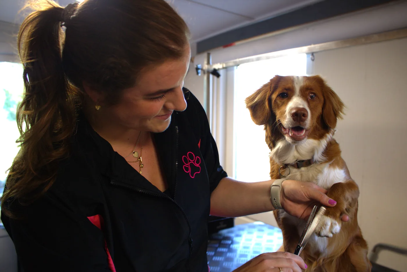 Hond bij Trimsalon BestBuddy
